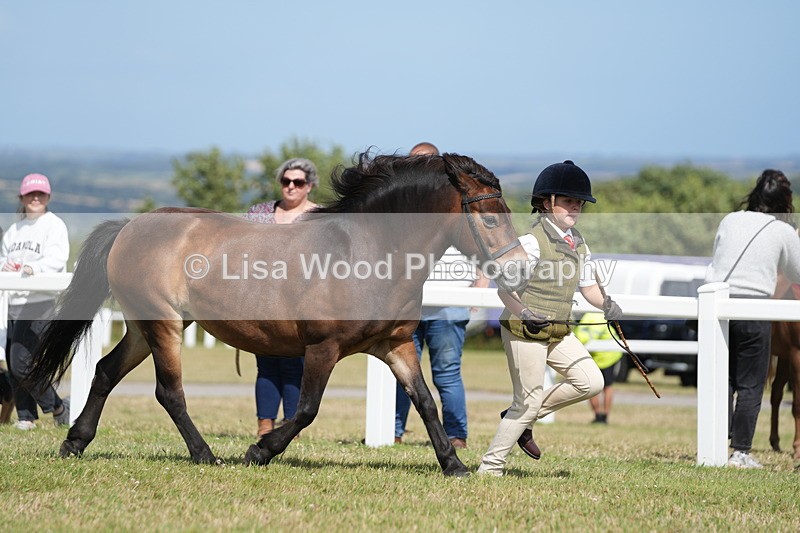 DSC07556 - Class 62: Child Handler