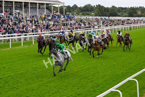 210824-Race 6-Star Of Lady M-5548 - Race 6 4.45pm Visit Irish Yearling Sale With ITM Fillies' Handicap