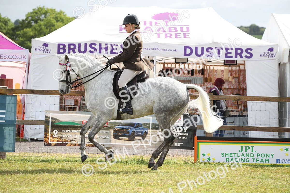 SBM_11522 - Class 95-96 - LIHS BSHA Rising Star Hack Riding Horse