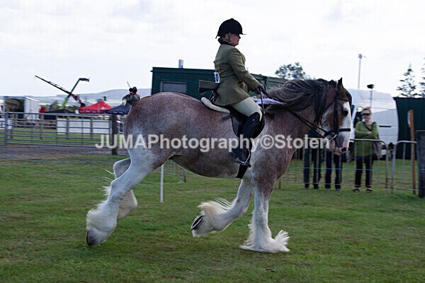 DSC_0234 - Ring 1