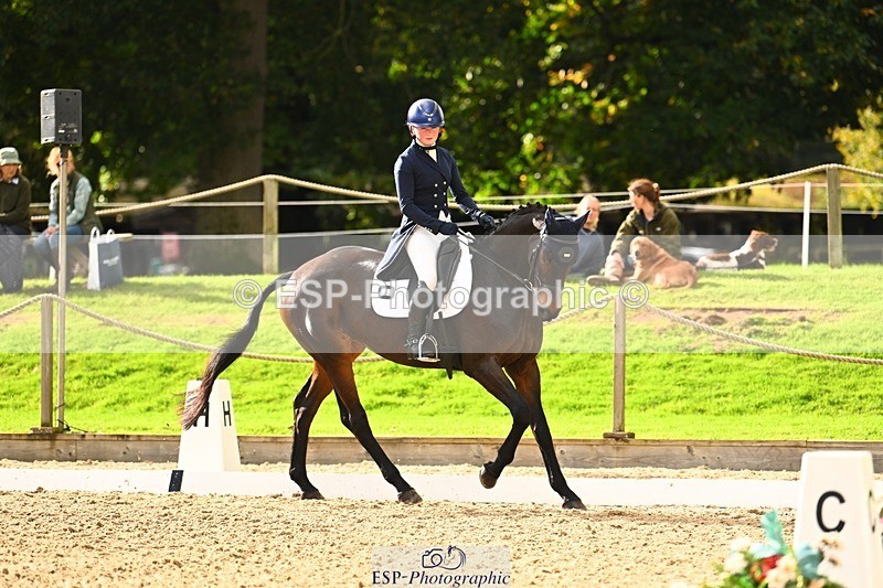 231020-142554-09951 - 307-WELLAN.GRAFFITI-Molly.Evans-DR