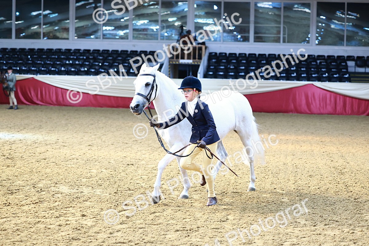 SBM_22343_Class 902 - Supreme Final - IH Veteran - Vicky Gutteridge