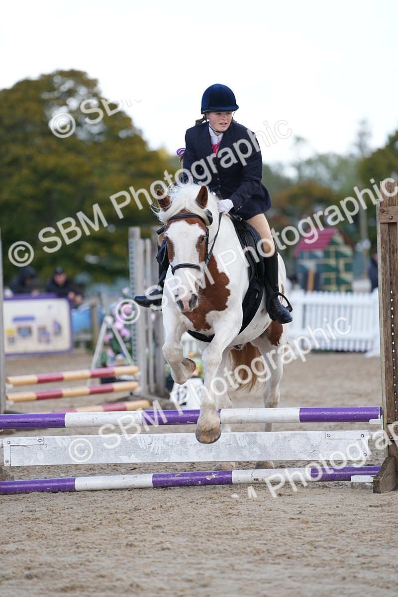 SBM_21217 - J49 - Open 50cm