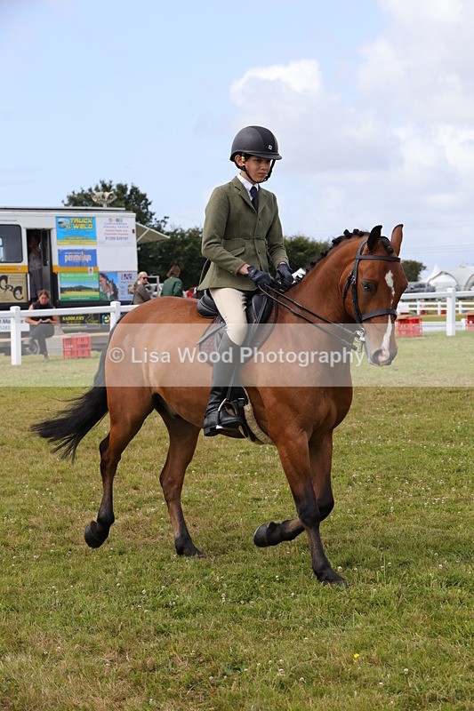 1X9A4047 - Class 32: Show Hunter Pony 153cm and under