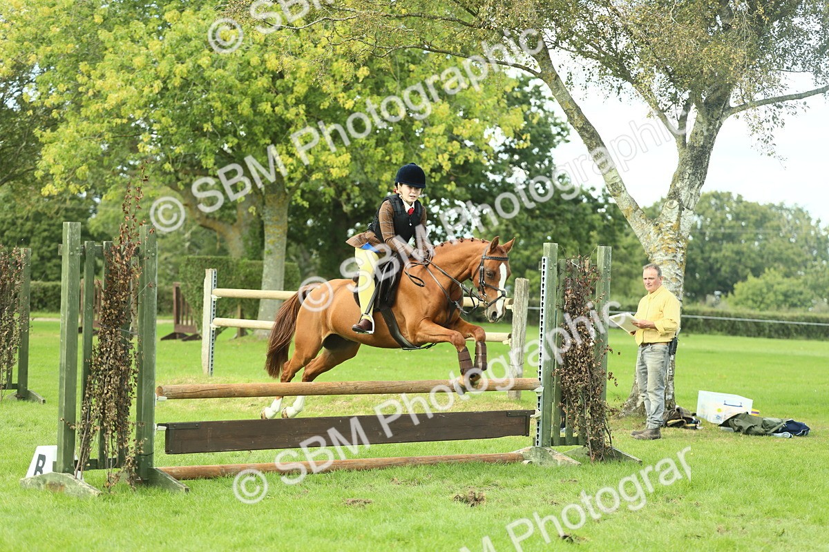 SBM_44647 - S31 - Working Hunter Pony