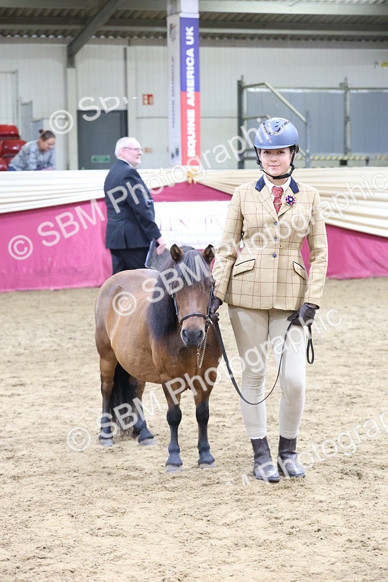 SBM_20055 - Class B - Junior Champ 11yr to 16 Years