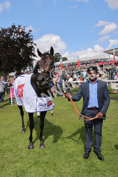 yr20082022r1-53 - Race 1 1.50pm Sky Bet & Symphony Group Strensall Stakes