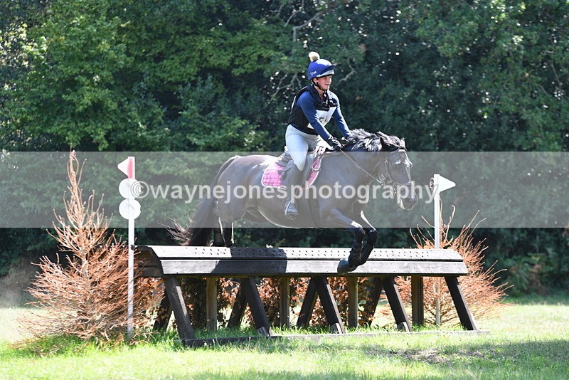 WJ5_3293 - XC Time 13:30 to 14:00