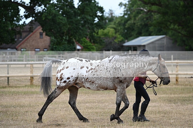 WJ6_7823 - Class 10 Coloured in Hand