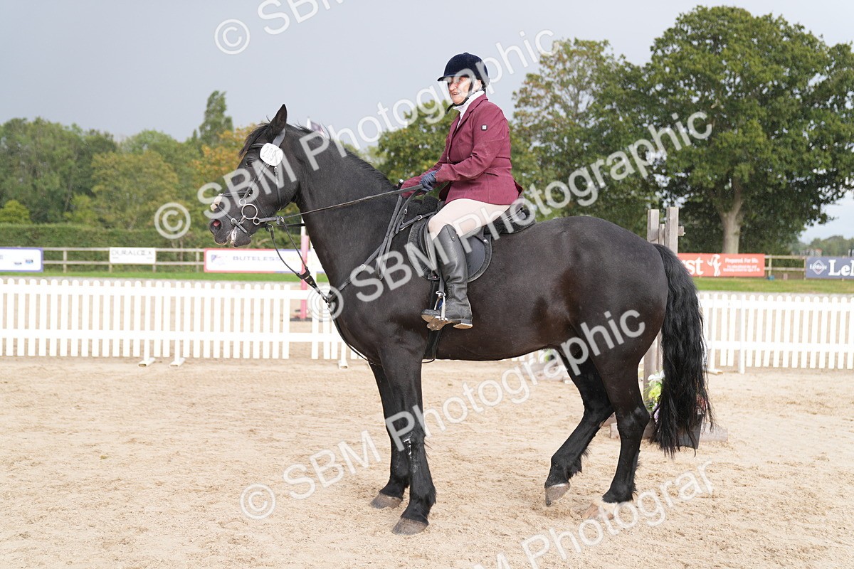 SBM_10429 - J37 Veteran 75cm Championship