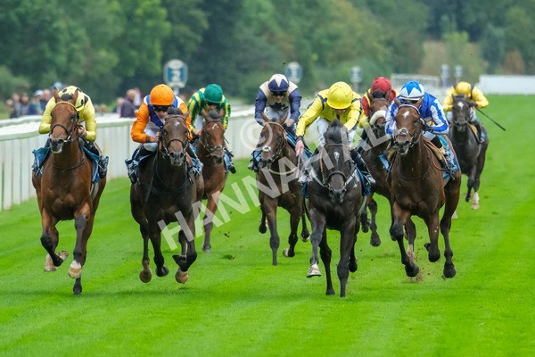080925-Race 1-Proud Nation-7485 - Race 1 2.30pm Enter ITV7 For Free Confined EBF Maiden Stakes