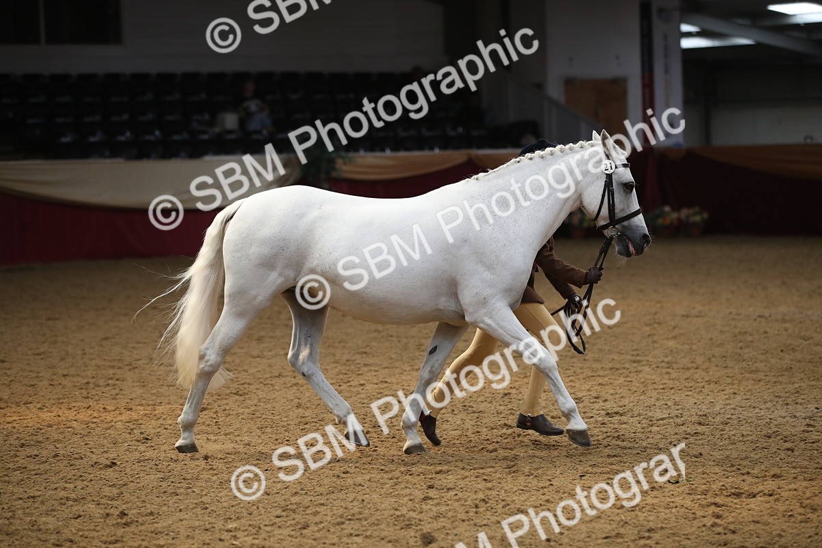 SBM_05372_Class 8r - Regional - IH Veteran - Vicky Gutteridge
