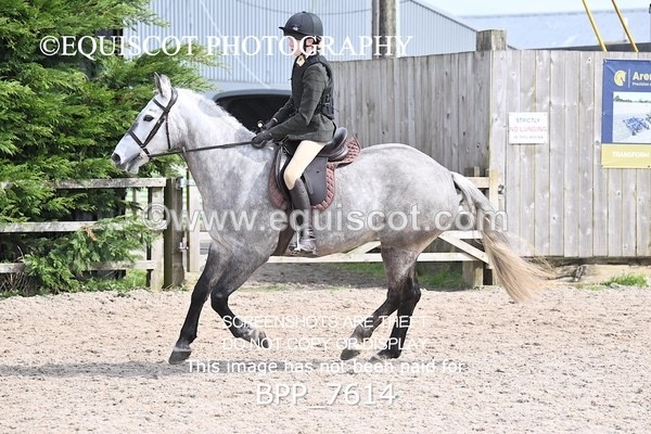 BPP_7614 - RING 1  (RIDDEN HORSES / IN HAND / VETERAN ETC)