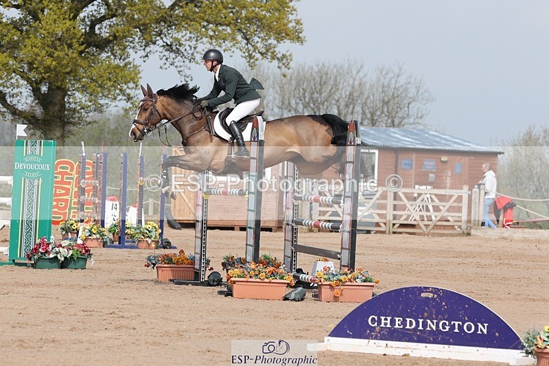 250424-103334-03091 - Cls 33 Young Horse 7yr old