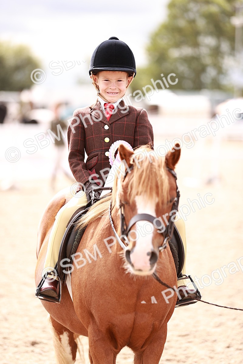 SBM_18344 - Class 417 - Handsome Gelding (IH or Ridden - JNR)