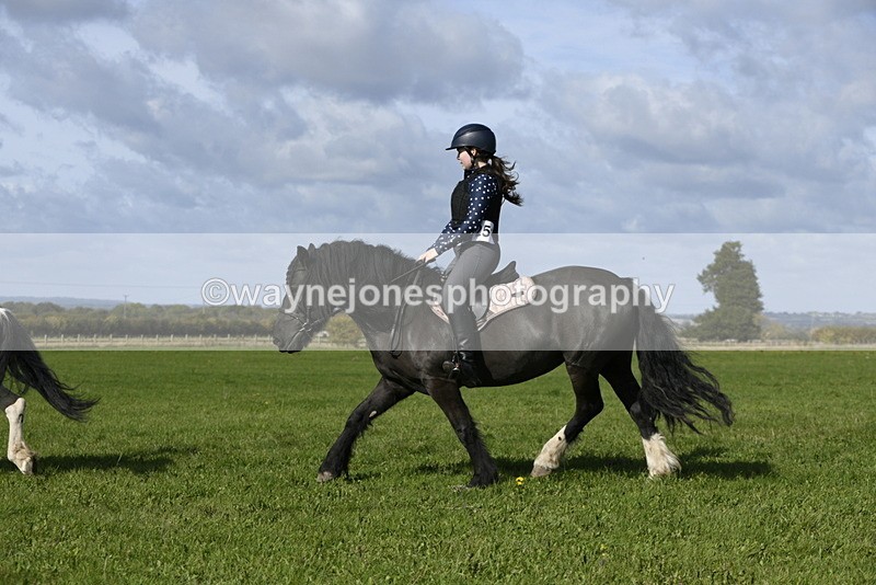 _DSC6665 - Time 11:23 to 12:05