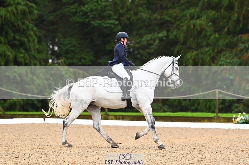 231021-103632-14485 - 230-CHOBELLA-Freddie.Taylor-DR