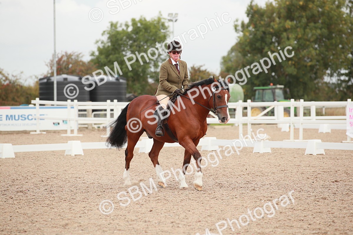 SBM_00822 - Class 30 - Intro 1