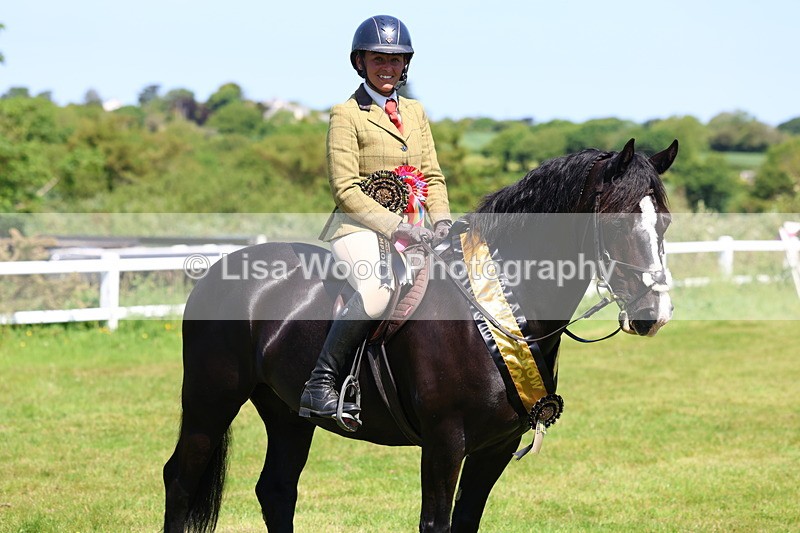 3E7A6814 - Working Hunter Pony Championship