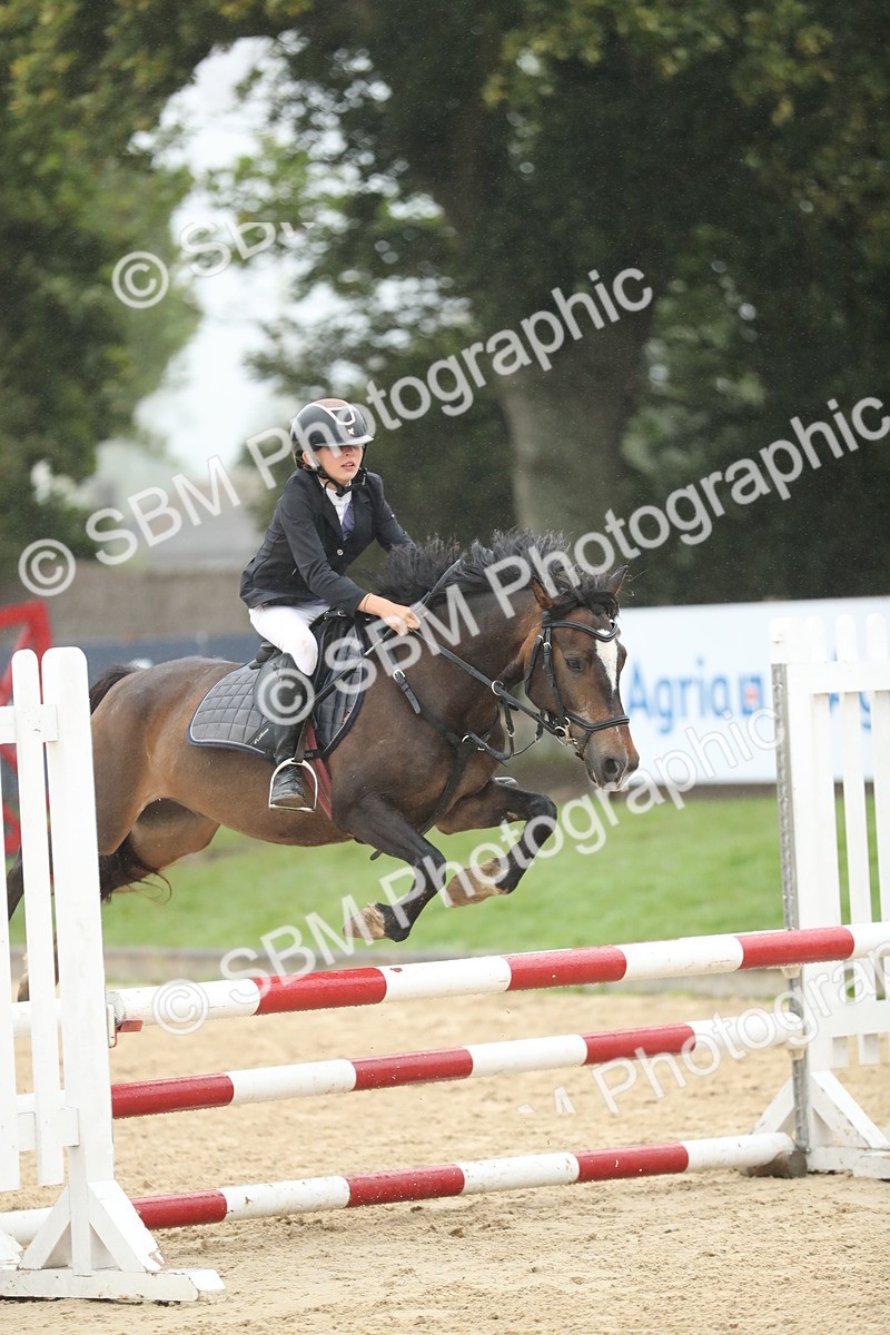 SBM_73986 - J16 - Junior Pony 75cm Championship