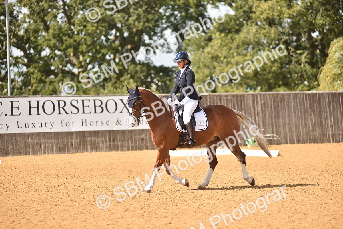 SBM_07813 - D15 - Small Tour Championship Novice 1