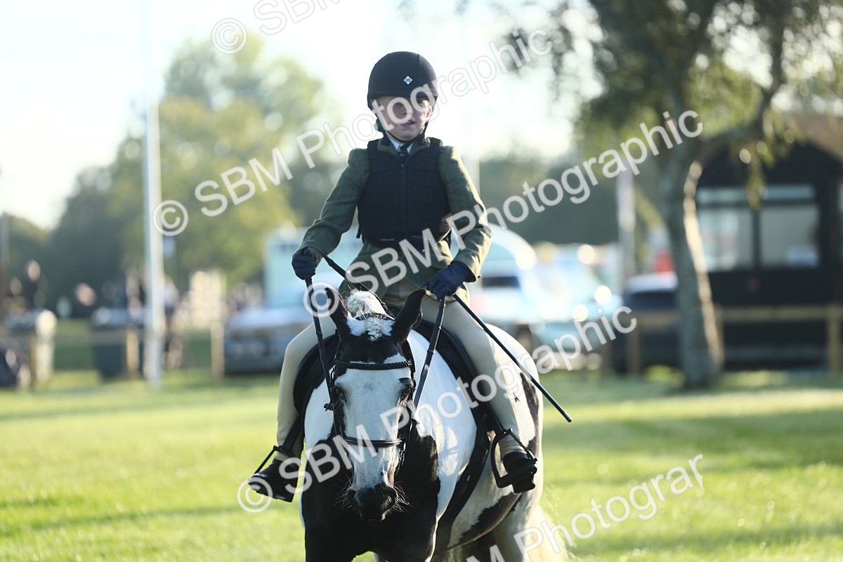 SBM_31752 - S28 - Nursery Stakes Working Hunter Pony