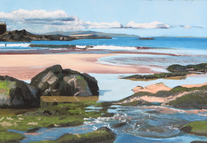Bushfoot - Paintings