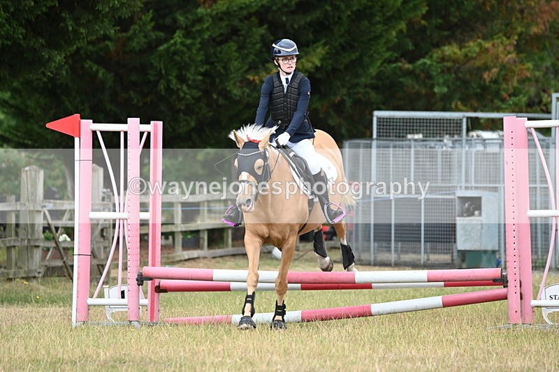 WJ6_9904 - Class 13 Novice Jumping 60cm