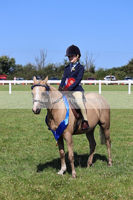 IMG_1858 - Plaited Mini Ridden Championship