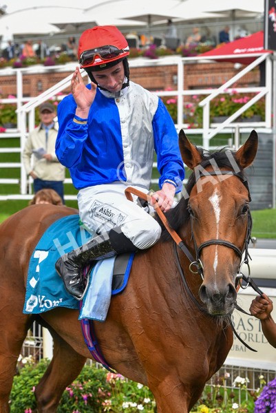 230923-Race 1-Invincible Molly-5915 - Race 1 2.00pm Jigsaw Sports Branding EBF Fillies' Novice Stakes