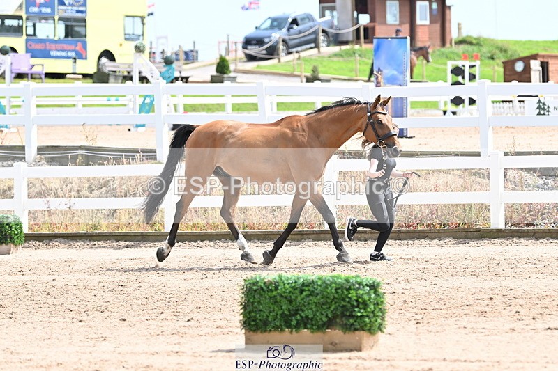 240717A-144554-02273 - Trot Up 2pm to 3pm - This folder is not in time order