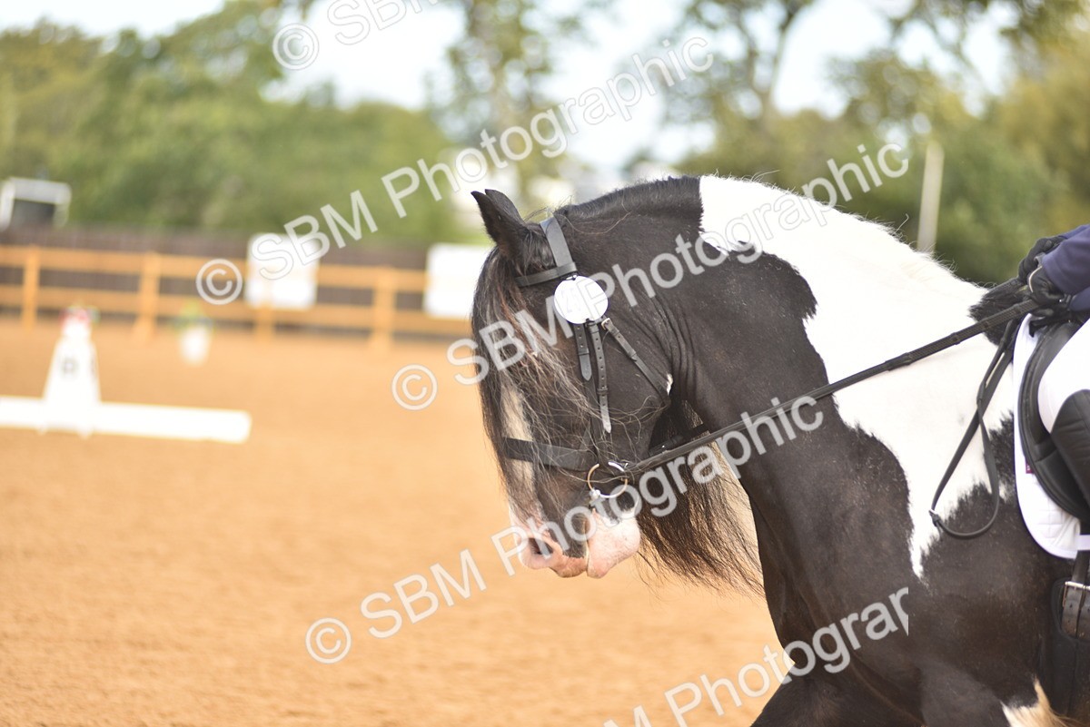 SBM_02161 - D7 - Small Tour Championship Prelim 2
