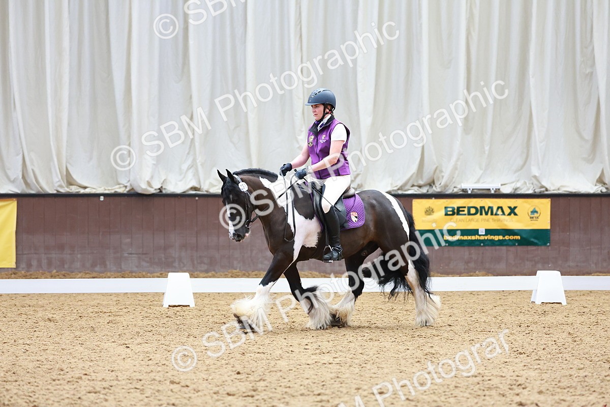 SBM_003250