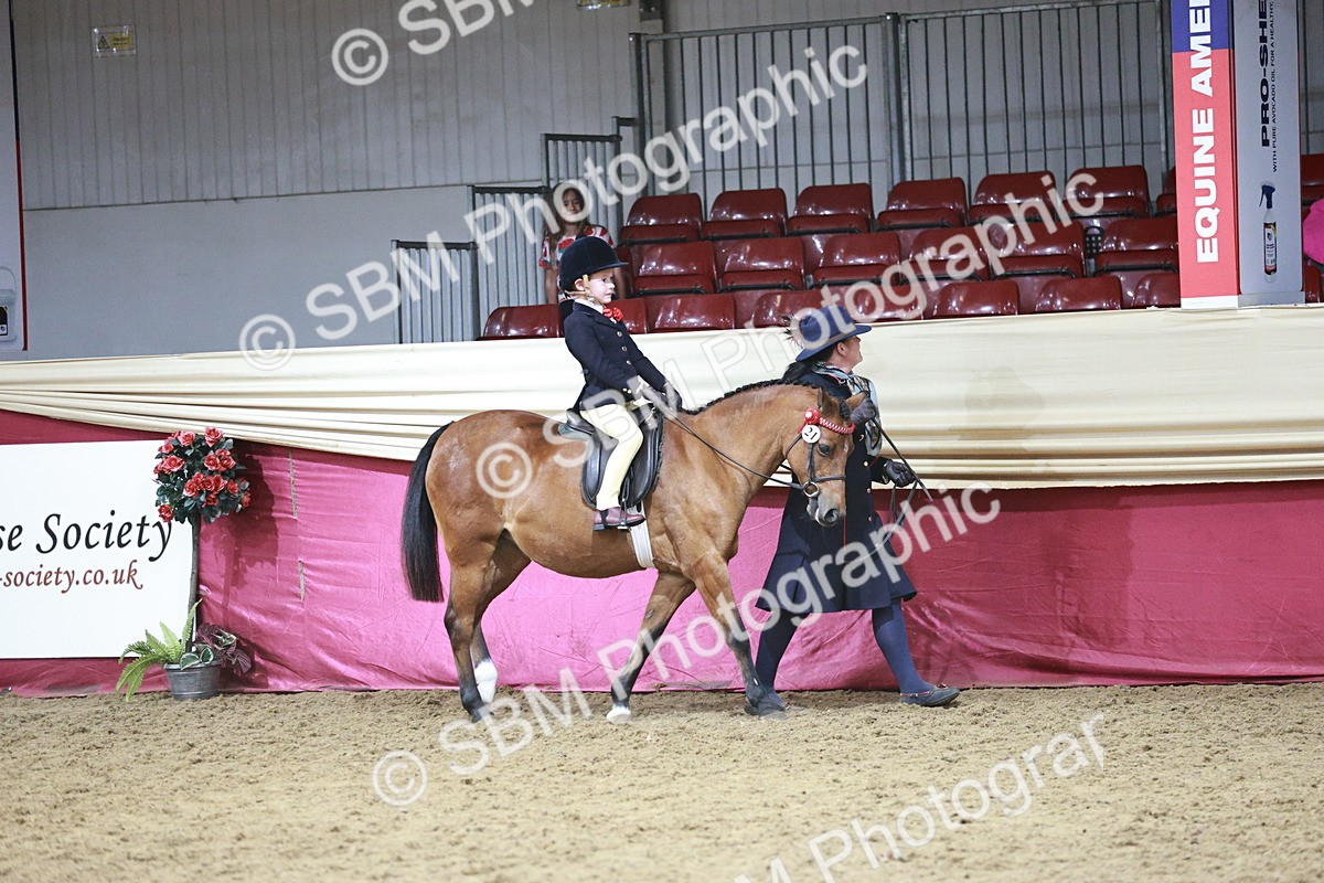 SBM_07979 - Class 11R - Regional Ridden Veteran