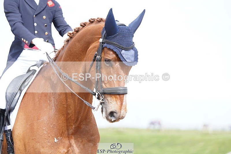 250403-143636-02966 - 001-Lewis.Carrier-Rubico