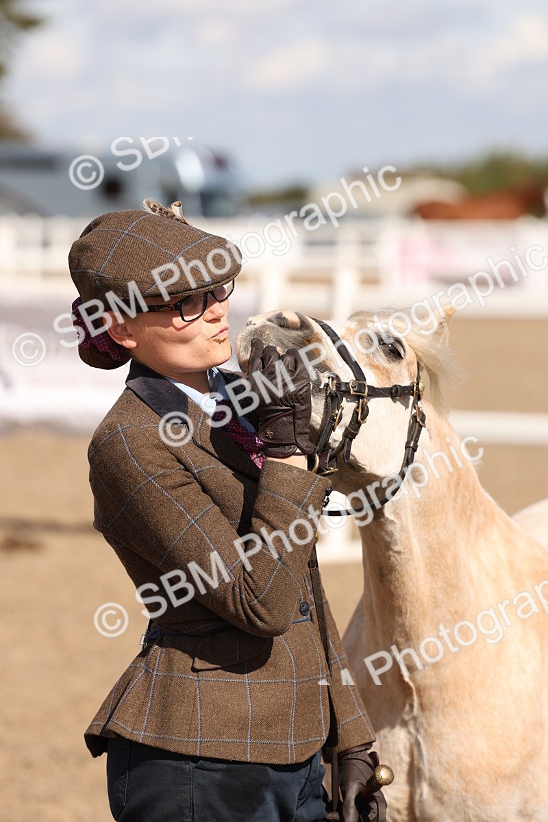SBM_13955 - Class 205 - IH Show Pony - Show Hunter Pony