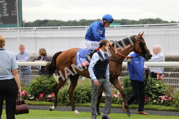 yr23072022r3-1 - Race 3 3.15pm Sky Bet York Stakes