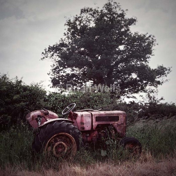 Tractor by the Tree - Transport and Machinery