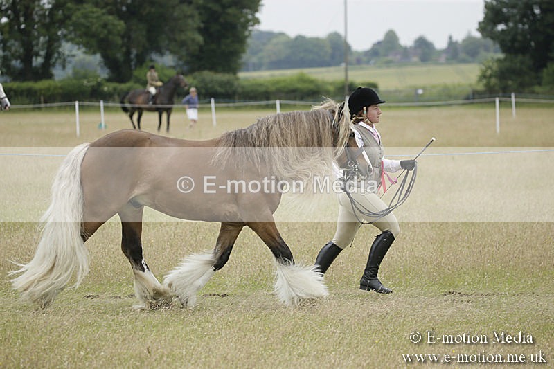 B230619-0835 - Bourne Valley Riding Club Summer Show 23/06/19