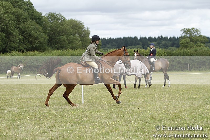 BVR160717-2243 - Ring 3 BVRC Show 16/07/17