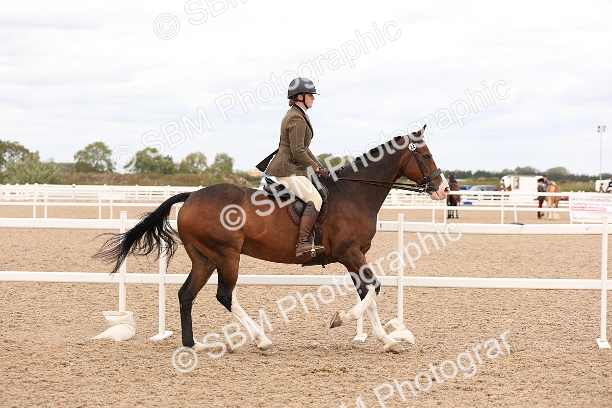 SBM_17220 - Class 213 - Ridden Hunter - Large