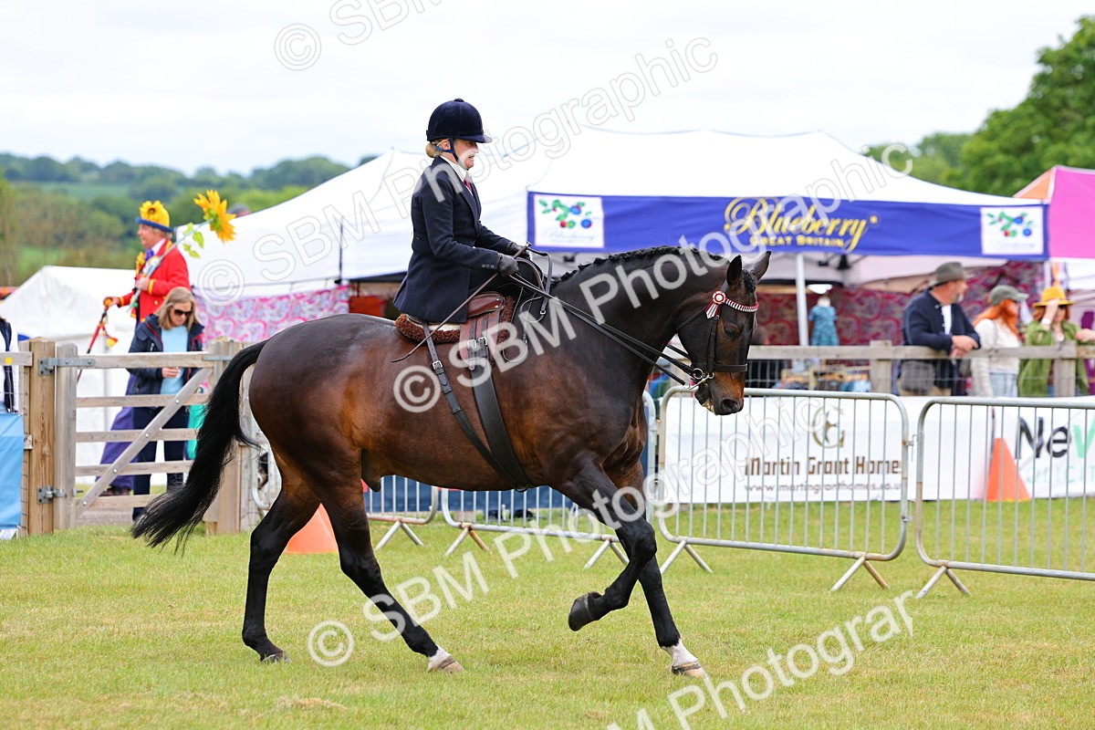 SBM_02816 - Class 9-11 Side Saddle including LIHS Rising Star Ladies Show Horse