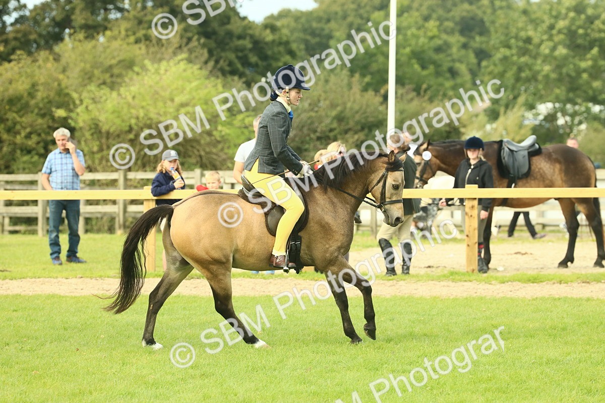 SBM_69834 - S59 - Mountain & Moorland Ridden Small Breeds