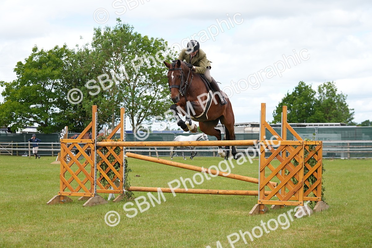 SBM_14947 - Class 100-102 - RIHS Working Hunter