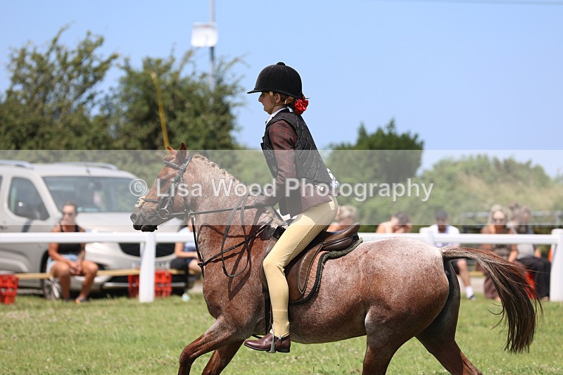 JPP_2446 - Class 21: Working Hunter 60cm