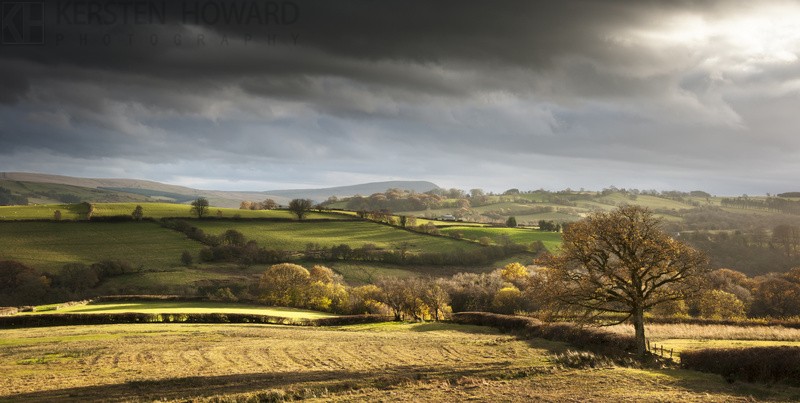 Chasing Shadows - nr Trecastle - Wales