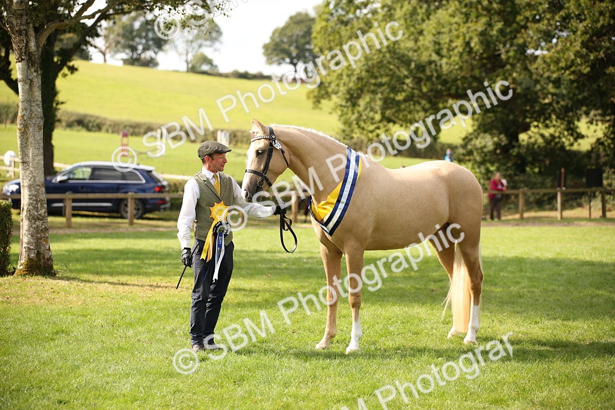 SBM_62966 - In Hand Horse Supreme Championship