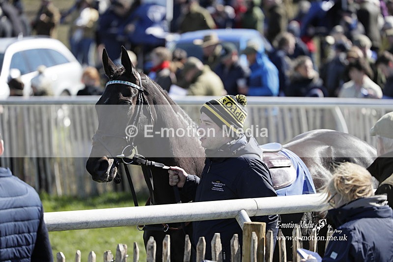 PtP 100423 573 - Old Berkshire Point-to-Point Lockinge 10/04/23
