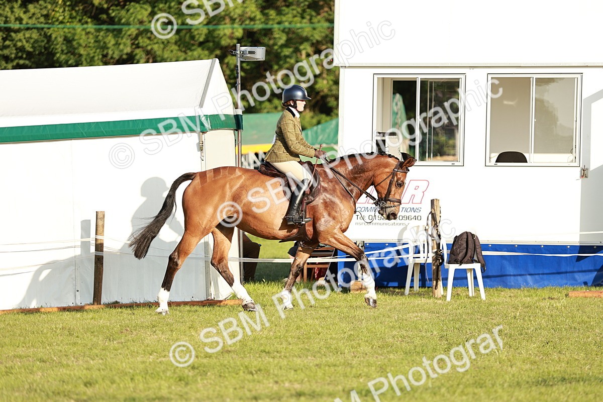 SBM_20442 - Class 117-119 - Sport Horse Working Hunter
