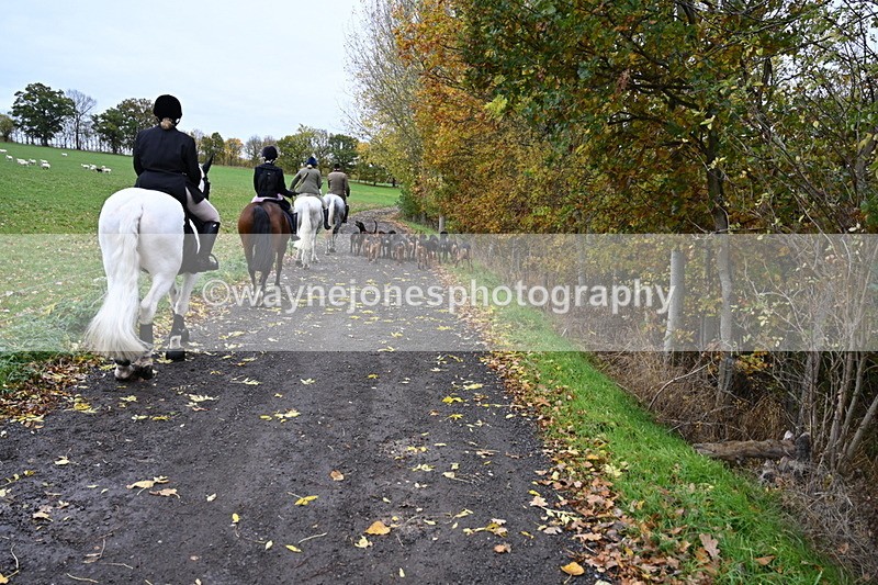 WJ6_9252 - Ride